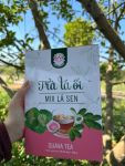 Trà lá ổi mix lá sen