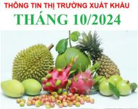 THÔNG TIN TÌNH HÌNH XUẤT KHẨU THÁNG 10 NĂM 2024