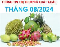 THÔNG TIN TÌNH HÌNH XUẤT KHẨU THÁNG 8 NĂM 2024