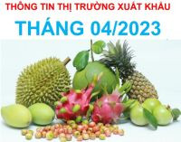 THÔNG TIN THỊ TRƯỜNG XUẤT KHẨU THÁNG 04/2023